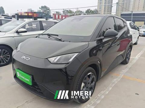 2025 BYD Seagull Smart Driving Edition 305km Freedom Edition