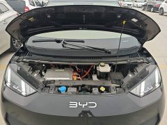 BYD Seagull Smart Driving Edition 305km Freedom Edition - ფოტო 19