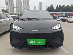 BYD Seagull Smart Driving Edition 305km Freedom Edition - ფოტო 2