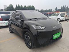 BYD Seagull Smart Driving Edition 305km Freedom Edition - ფოტო 3