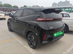 BYD Seagull Smart Driving Edition 305km Freedom Edition - ფოტო 4