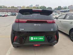 BYD Seagull Smart Driving Edition 305km Freedom Edition - ფოტო 5