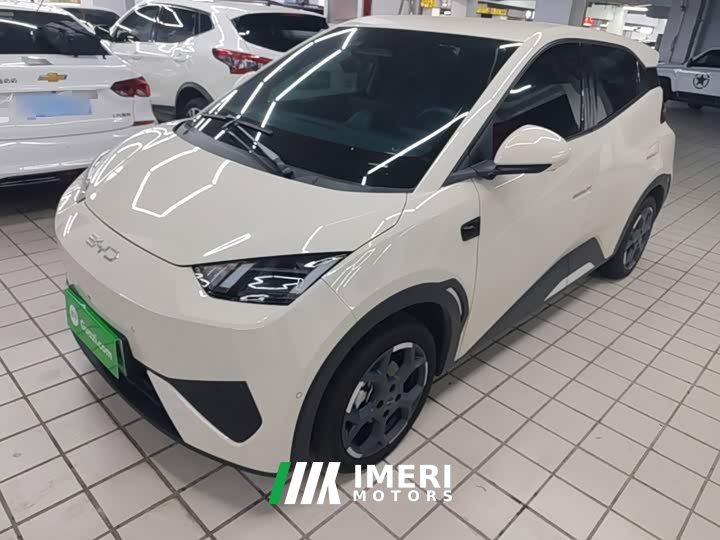 BYD Seagull Smart Driving Edition 305km Freedom Edition