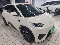 BYD Seagull Smart Driving Edition 305km Freedom Edition - ფოტო 3