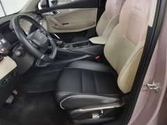 Lynk & Co 06 EM-P PHEV Shero Pink Special Edition - ფოტო 14