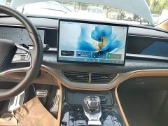 Denza BYD Denza D9 DM-i Smart Drive 1020 Four-Wheel Drive Premium - ფოტო 12