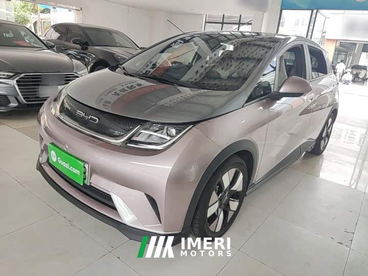 BYD Dolphin 401km Knight Edition