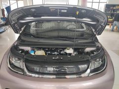 BYD Dolphin 401km Knight Edition - ფოტო 15