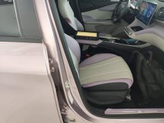 BYD Dolphin 401km Knight Edition - ფოტო 19