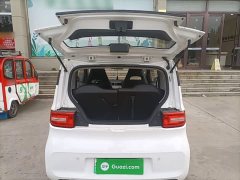 Wuling Hongguang MINIEV 2020 Deluxe Edition LFP Battery - ფოტო 18