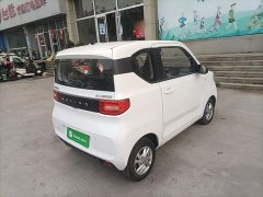 Wuling Hongguang MINIEV 2020 Deluxe Edition LFP Battery - ფოტო 6