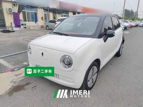 2021 ORA Black Cat 301km Base - ავტომობილი ჩინეთიდან