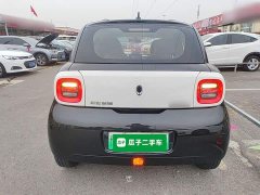 ORA Black Cat 301km Base - ფოტო 5