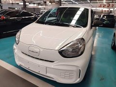 SAIC Corey Wei CLEVER 302km New Four-Seat Super Version - ფოტო 1
