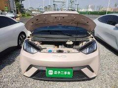 BYD Seagull Vitality Edition - ფოტო 19