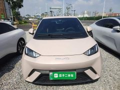 BYD Seagull Vitality Edition - ფოტო 2