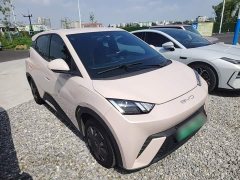 BYD Seagull Vitality Edition - ფოტო 3