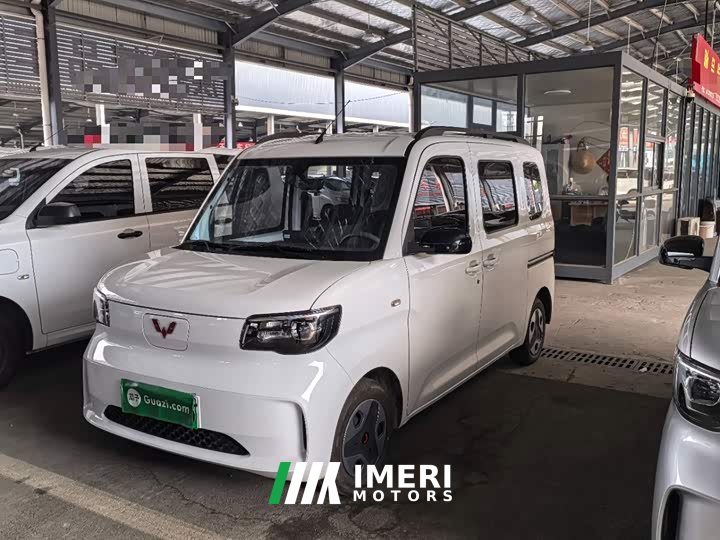 Wuling Zhiguang New Energy 305km Aspiring Edition