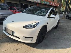 Tesla Model Y Facelift Rear-Wheel Drive - ფოტო 1