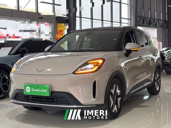 Wuling Bingo S 430km Flagship