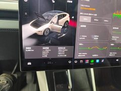 Tesla Model Y L Long Range All-Wheel Drive - ფოტო 11