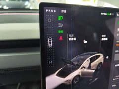 Tesla Model Y L Long Range All-Wheel Drive - ფოტო 13