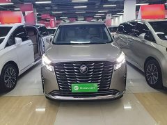 Buick GL8 ES Luxe Enjoyment Edition - ფოტო 2