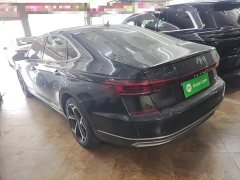 Volkswagen Passat 330TSI Starry Sky Elite - ფოტო 4