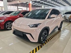 BYD Seagull 2023 Freedom Edition - ფოტო 1