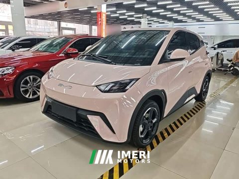 2024 BYD Seagull 2023 Freedom Edition - ავტომობილი ჩინეთიდან