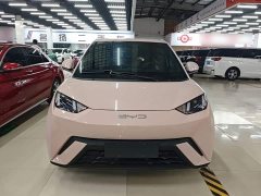 BYD Seagull 2023 Freedom Edition - ფოტო 2
