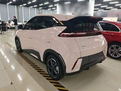 BYD Seagull 2023 Freedom Edition - ფოტო 4