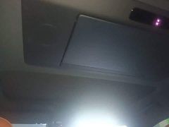 Li Auto L9 2023 Pro - ფოტო 17