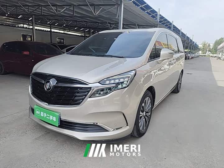 Buick GL8 ES Land Respect 653T Premier