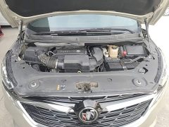 Buick GL8 ES Land Respect 653T Premier - ფოტო 19