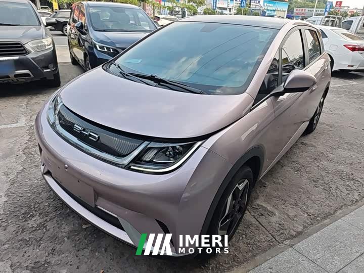 BYD Dolphin 405km Fashion Edition - ავტომობილი ჩინეთიდან