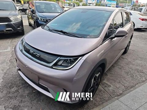 2023 BYD Dolphin 405km Fashion Edition