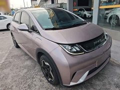 BYD Dolphin 405km Fashion Edition - ფოტო 3
