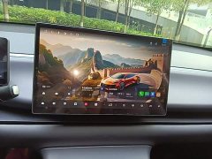 Leapmotor C10 530 Comfort Edition - ფოტო 12