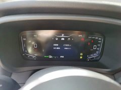 FAW Red Flag HQ9 PHEV 2.0T AWD Business Edition - ფოტო 11