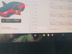 Tesla Model 3 Standard Range RWD Upgrade - ფოტო 11