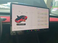 Tesla Model 3 Standard Range RWD Upgrade - ფოტო 12