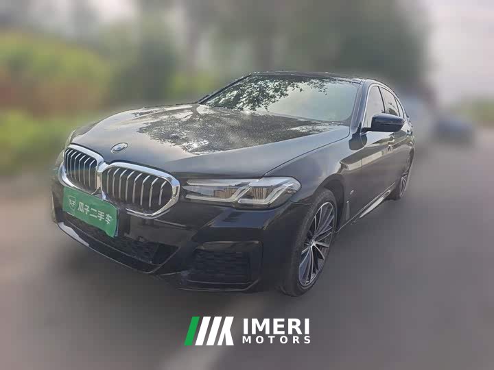 BMW 5 Series 530Li Premier M Sport Package - ავტომობილი ჩინეთიდან