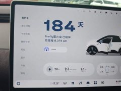 Nio Firefly Luminous Edition - ფოტო 11