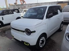 Geely Panda Mini 210km Vitality Edition - ფოტო 1