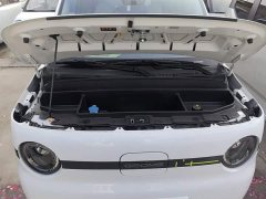 Geely Panda Mini 210km Vitality Edition - ფოტო 19