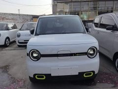 Geely Panda Mini 210km Vitality Edition - ფოტო 2