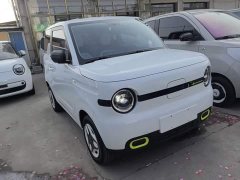 Geely Panda Mini 210km Vitality Edition - ფოტო 3