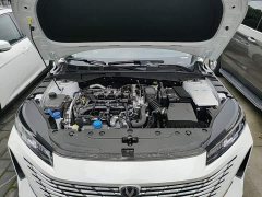 Changan Eado 2025 Blue Whale 1.5T 500Bar Luxury - ფოტო 19