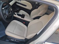 Wuling Binguo PLUS 2024 510km 5-Seater - ფოტო 14